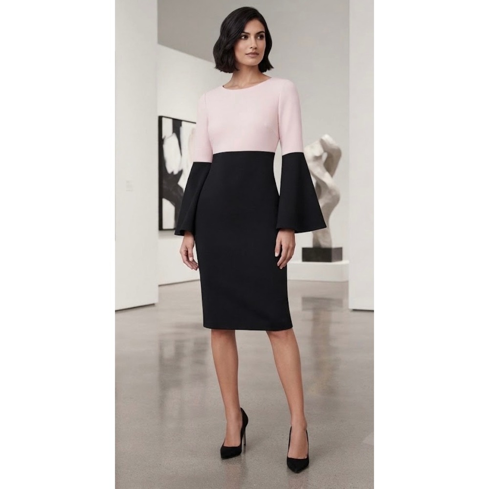 Calvin Klein Pink Black Colorblock Bell Sleeve Sheath Dress CD9C15HU Size 2